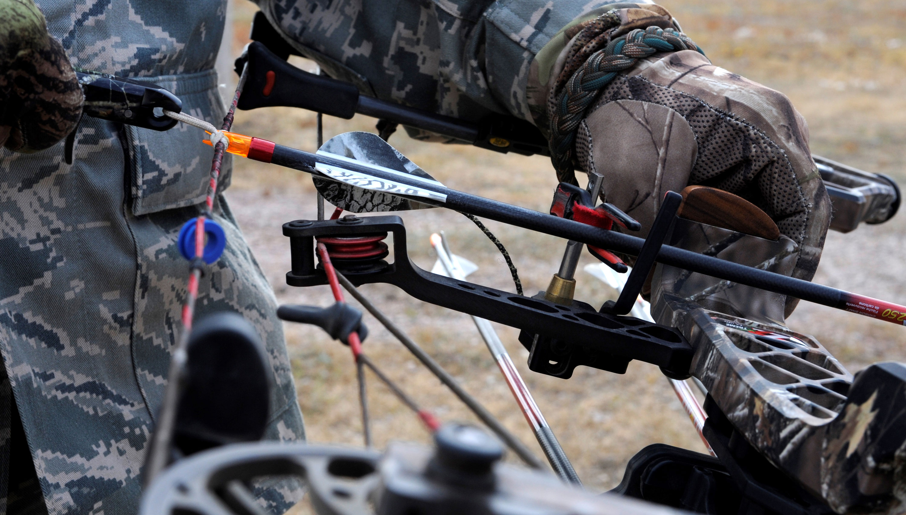 Shooting Treetops Hunting Rotorua